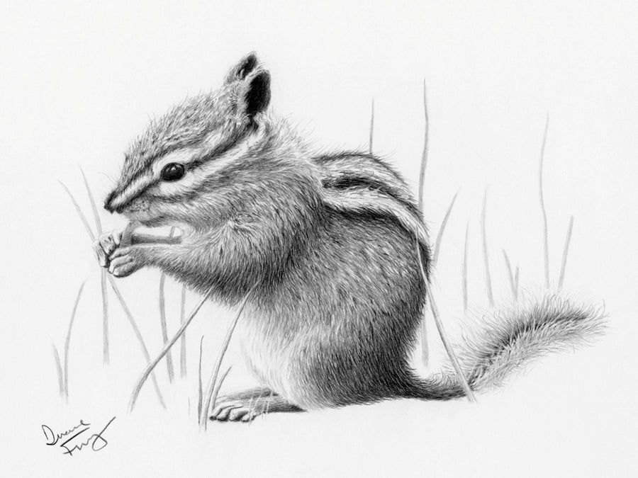 Chippy